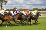 ante post prices|Compare Ante Post Horse Racing Odds & Latest Prices.